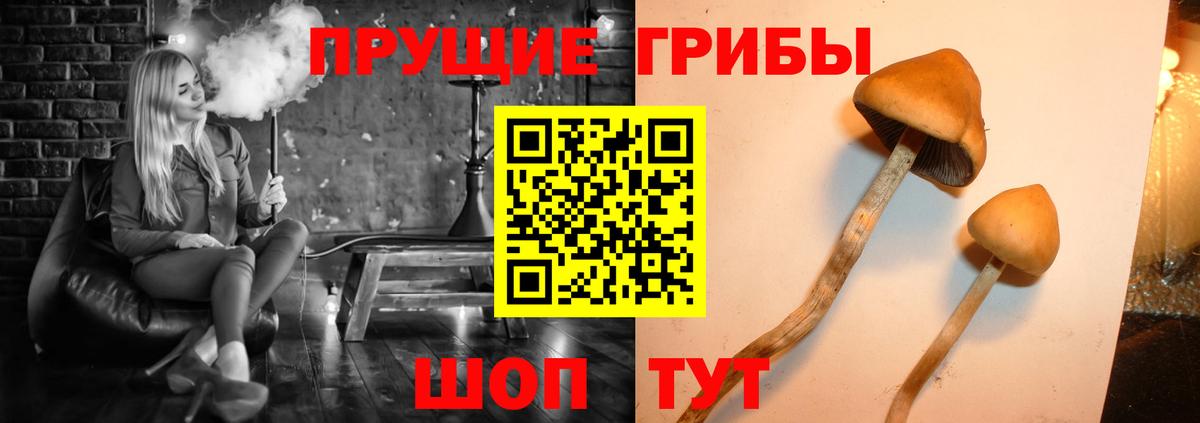Галлюциногенные грибы прущие грибы Благодарный